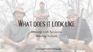 What does it look like hunting with Savanna Hunting Safaris. Join us www.myafricanhunting.com