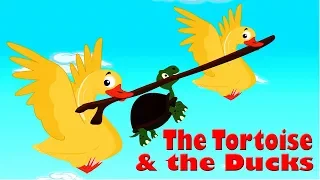 Short Stories For Kids | The Tortoise And The Ducks | English Moral Story For Children |By Anon Kids