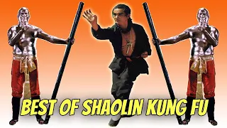 Wu Tang Collection - Best of Shaolin Kung Fu (Subtitulado en ESPAÑOL)