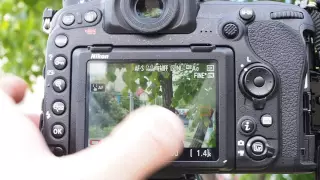 Nikon D500 LiveView AF Speed Test