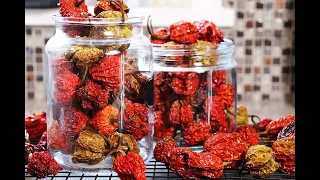 How To Dehydrate Peppers In Your Oven | CaribbeanPot.com