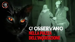 Streghe o Gatti? Ci Osservano nella Piazza dell' Inquisizione ** eGO ** Caccia alle Streghe