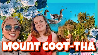 What is there to do at Mount Coot-Tha for free? // Brisbane, Queensland 2021