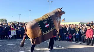 El Bou Tradicional La Mulassa de Valls i els Gegants de la Riba