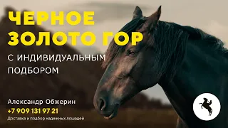 Превью / preview. Александр Обжерин