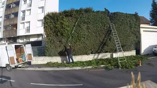 KM 131 avec taille haie perche (et 2 rallonges)