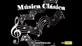 2 Horas de la Mejor Musica Clasica Popular Mozart Beethoven Bach Haydn Chopin Grieg Rossini