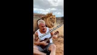 PLAYING MY UKULELE WITH THE LIONS! #shorts