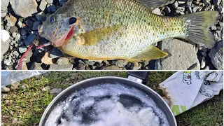 Lake Berryessa, CATCH, CLEAN, COOK (Massive Bluegill)