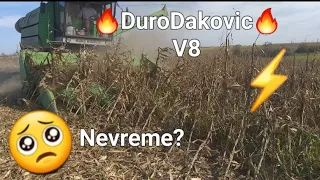 ⚡️DuroDakovic 3620⚡️vrsenje polegnutog 🌽🌽u zemlju,katastrofa🥺#durodakovic#kombajn #viral#farming#fyp