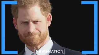 Could Prince Harry face deportation for past drug use?  |  Dan Abrams Live