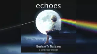 Echoes - Hey You