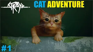 CAT ADVENTURE || STRAY || GAMEPLAY #1