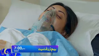 Bechari  Qudsia  Episode 33 Promo l Daily at 7:00 PM only on Har Pal Geo