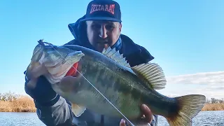 Big January, CA Delta jig bass! CTC