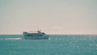 [ SUMMER ] '여름' 하면 떠오르는 90년대 한국 대표곡들 🐬🌊