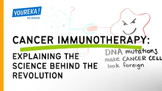 Cancer Immunotherapy - Explaining the science behind the revolution