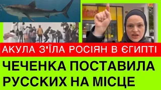 АКУЛА ЗЖEPЛА РОСІЯН в ЄГИПТІ, а ЧЕЧЕНКА ПОСТАВИЛА НА МІСЦЕ НАХАБНUХ РОСІЯН: ЦЕ ЗА УКРАЇНУ І ІЧКЕРІЮ.