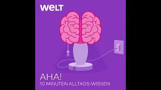 Vitamin D – Wer braucht eine Extradosis und wem schadet es? | WELT Podcast