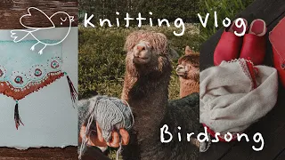 A Wanderful Knitting Vlog | Birdsong Ep. 3