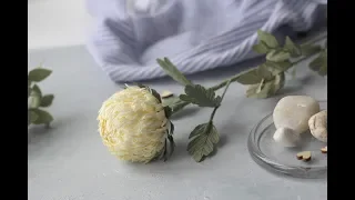 Мастер класс. Хризантема из гофрированной бумаги. Hand made paper flowers
