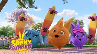 Hora de andar de skate | As Aventuras de Sunny Bunnies | Desenhos Animados Infantis