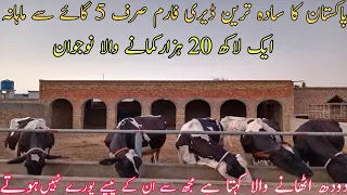 simple dairy farming in Pakistan|5 gay ka intahai sada tareen farm|Asad Abbas Chishti|