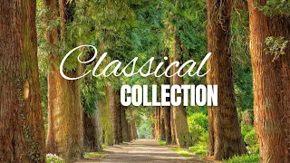 Inspirational Classical Music Video | Uplifting Instrumental Music | Scenic Nature Relaxing Views