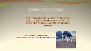 Evaluación de la Eficiencia Reproductiva en Rodeos Lecheros (Parte 1)