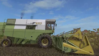 Sunflower Harvest With Fortschritt E517