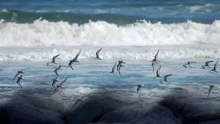 Al Bano Carrisi & Romina Power - Acqua di Mare ( HD Widescreen )