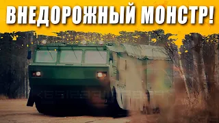 30 тонн металла! Сочлененный вездеход ДТ-30 "Витязь". Русский транспорт. Обзор. Поехали!