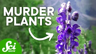 The Top 10 Deadliest Plants (They Can Kill You!)