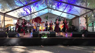 National Multicultural Festival Canberra 2024 - Северняшко Веселие