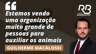 "Não podemos deixar os animais para trás", diz Macalossi sobre resgate do cavalo Caramelo