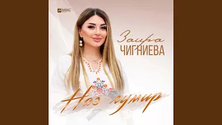 Наз гумир