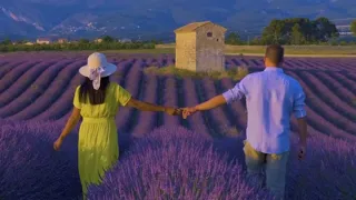 Lavender Love: A Journey Through Provence