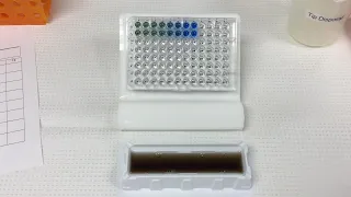 BIOL1415 Unit 11: Bradford Assay