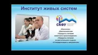 Визитная карточка. СКФУ. Институт живых систем