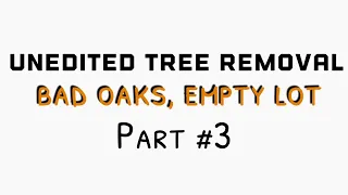 (raw) #3 that one job with the bad oaks and possums. final .