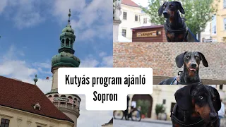 Kutyás program ajánló-Sopron