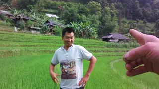 Rural life Vlogs