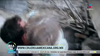 Cruz Roja Mexicana pide solidaridad con Turquía | Noticias con Francisco Zea