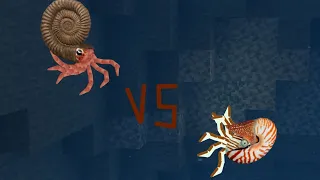 DC2BA: Nautilus VS Ammonite