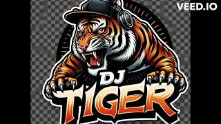 DJ BORN TIGER - YEAH ! ( REMIX )