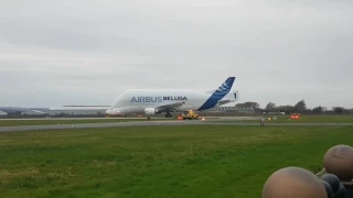 Airbus Beluga taking off from Hawarden Airport