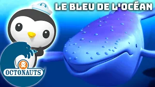 Octonauts - Le bleu de l'océan 🔵 | Dessins animés pour enfants