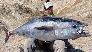 LAND BASED TUNA with shore jigging rod.Fishing 50kg bluefin tuna off the rocks.