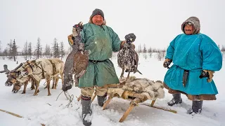 Как охотятся Коренные Народы. Ружья и ловушки. Секреты охоты на оленя, гуся, утку, песца | Факты