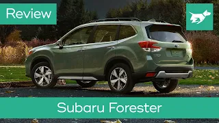 Subaru Forester 2019 review – The Practical Crossover